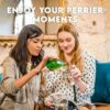 Perrier Sparkling Water